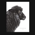 Affiche Le mouton noir - Dessin d'un mouton noir associé à une citation sur le fait de se démarquer - une décoration originale qui porte un message fort !