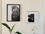 calendrier 2027 avec dessins d'animaux - illustrations Marjorie Esquerre pour Décopositive