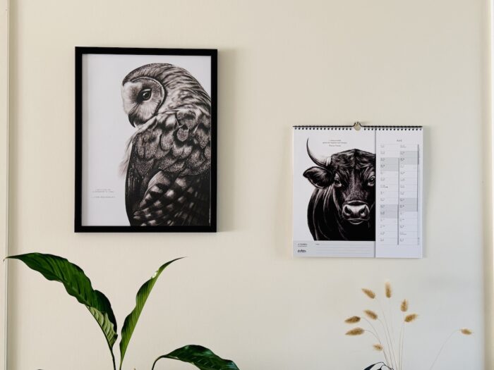 calendrier 2027 avec dessins d'animaux - illustrations Marjorie Esquerre pour Décopositive