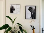 calendrier 2027 avec dessins d'animaux - illustrations par Marjorie Esquerre pour Décopositive