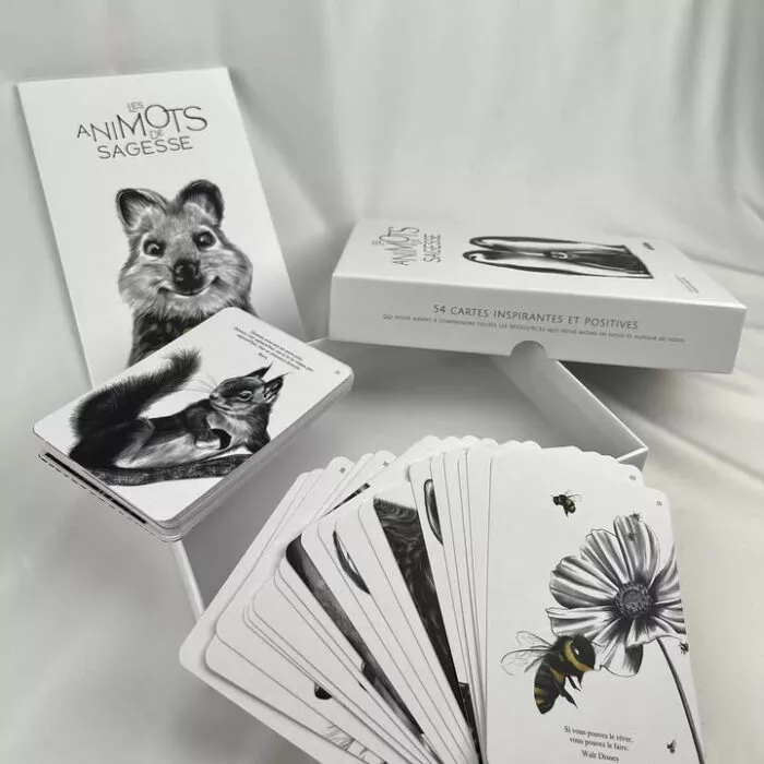 coffret Oracle les AniMots de sagesse - Décopositive - Marjorie Esquerre
