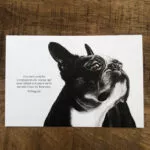 Le chien Boston terrier - "L'amitié" – Image 5