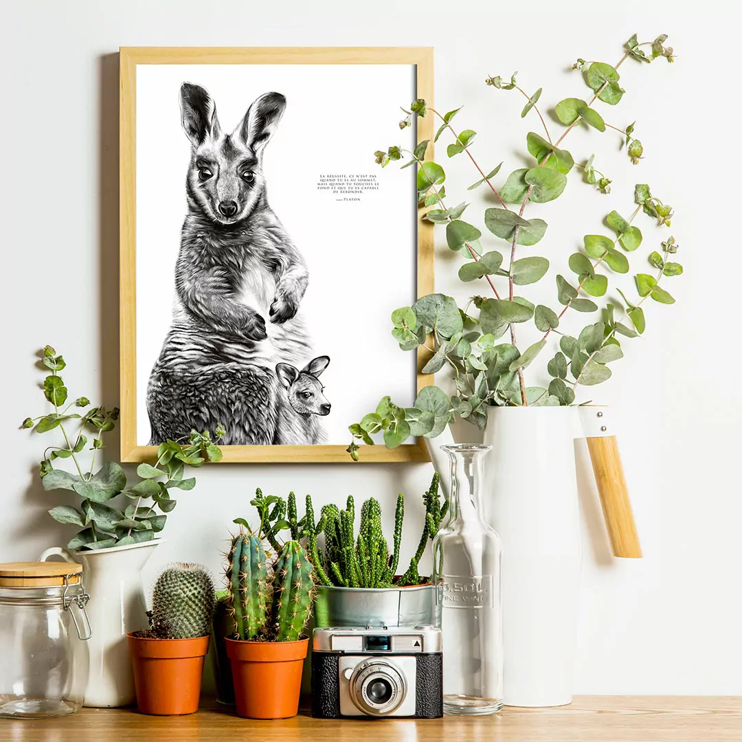 Le Kangourou "la combativité" Le Kangourou "la combativité"