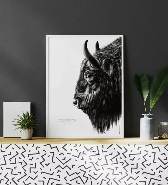 Le Bison "l'abondance" Le Bison "l'abondance"