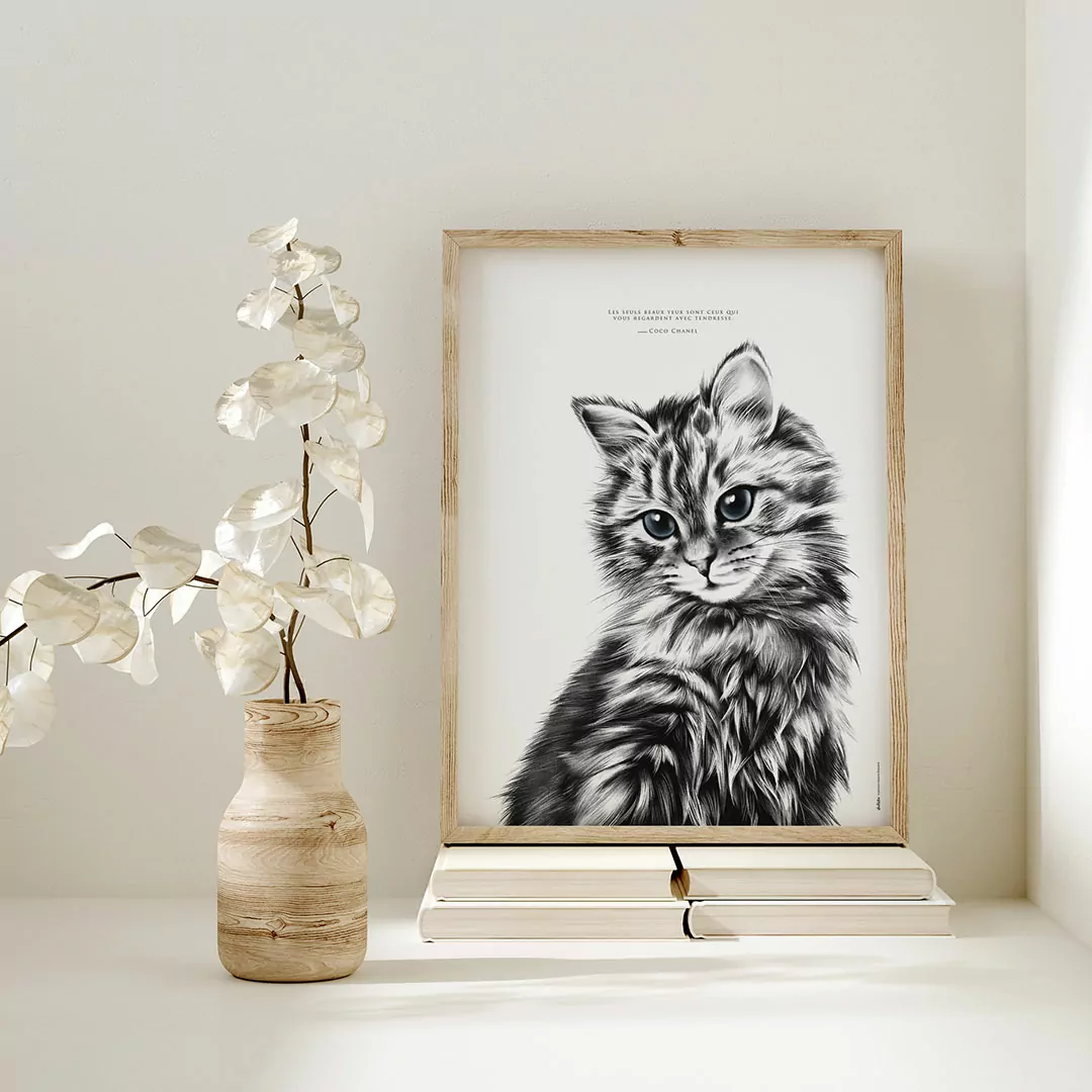 Le chaton "la tendresse" Affiche chaton "la tendresse"