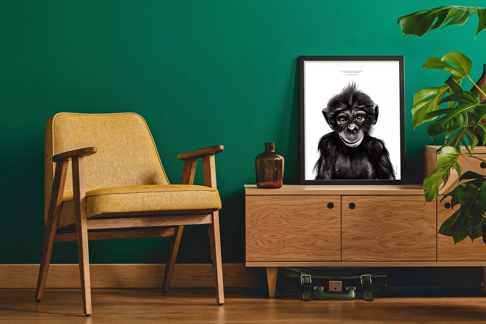 Le Chimpanzé "la beauté" Le Chimpanzé "la beauté"