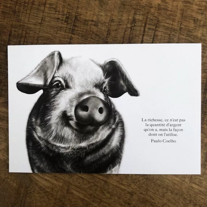 carte cochon