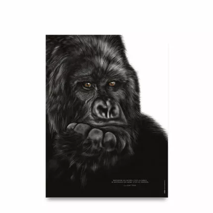 Le Gorille "la maîtrise de soi"