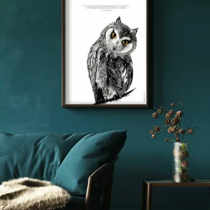 Le Hibou "l'intuition"