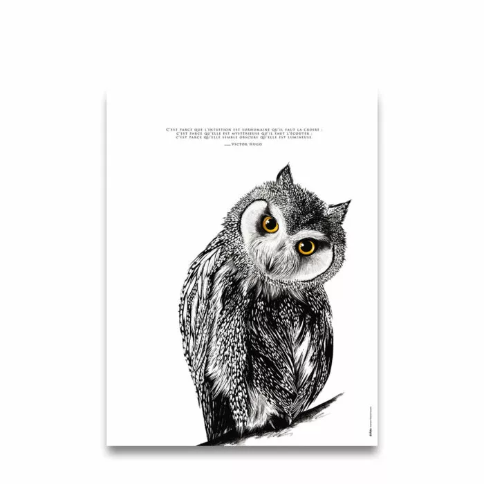 Le Hibou "l'intuition" – Image 2