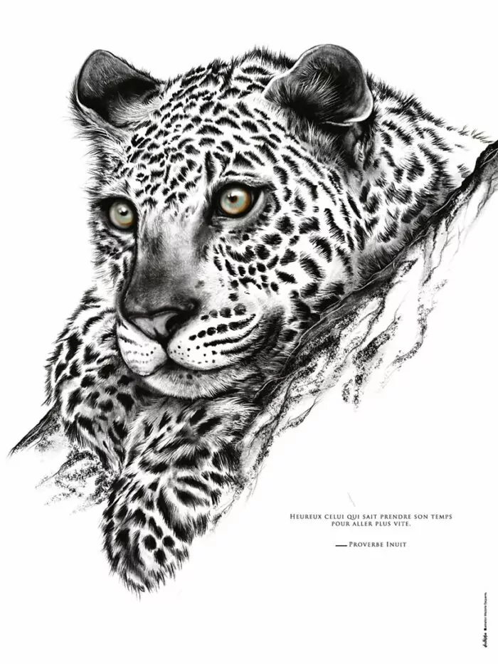 Le Jaguar "la vitesse"