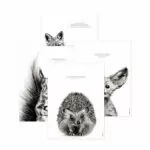 Lot de 4 affiches Animaux