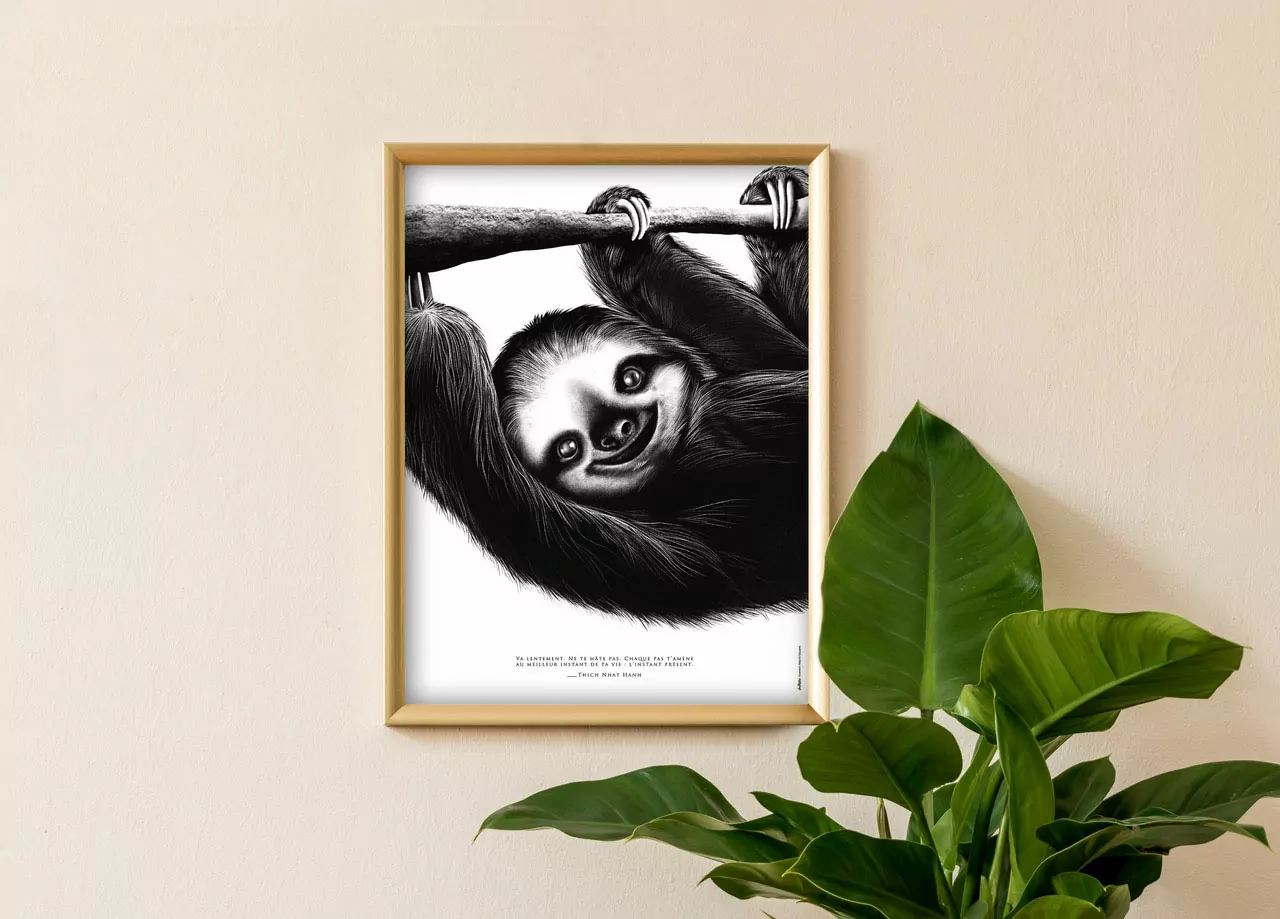 Le Paresseux "la lenteur" Le Paresseux "la lenteur" - affiche 30 X 40 cm