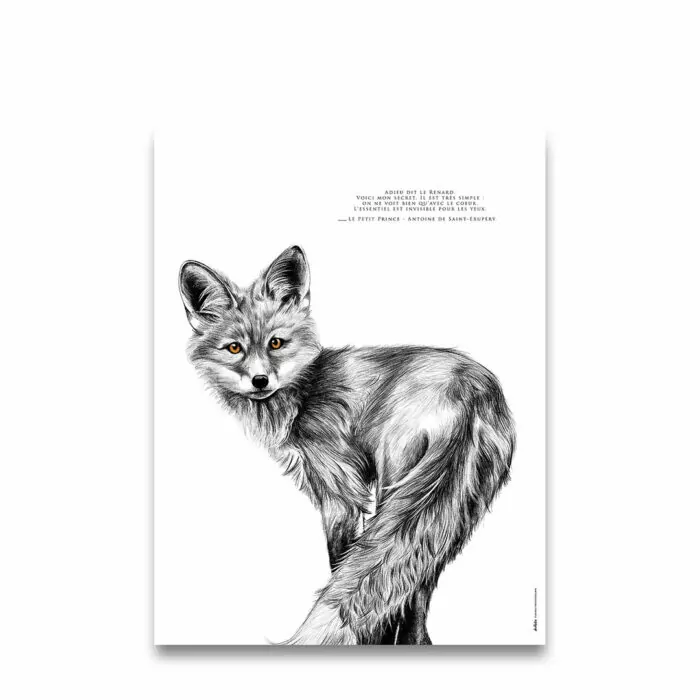 Le Renard "L'intelligence du coeur" – Image 2