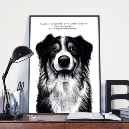 affiche dessin border collie