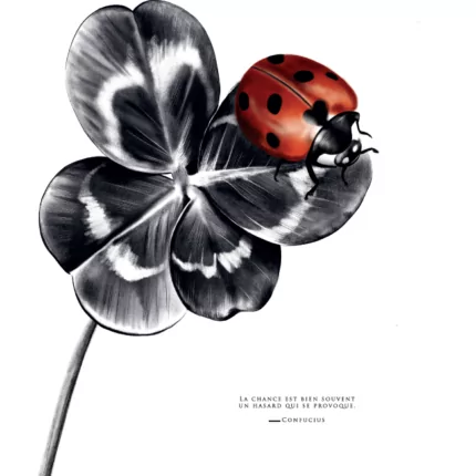 "La Coccinelle" : affiche - dessin original portant la citation de Confucius : "La chance est bien souvent un hasard qui se provoque."