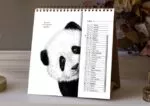 calendrier 2024 animaux - calendrier les AniMots de sagesse - 13 feuillets - made in france