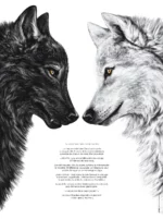 La légende des deux loups, ce conflit entre notre côté obscur (loup noir) et la zone lumineuse, empreinte d'amour (blanc). Existe en affiche et en carte.