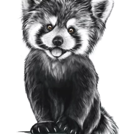 Affiche et carte le Panda Roux - dessin d'un Panda Roux associé à la citation de gandhi sur la douceur.
