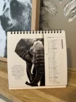 calendrier 2024 animaux - calendrier les AniMots de sagesse - 13 feuillets - made in france