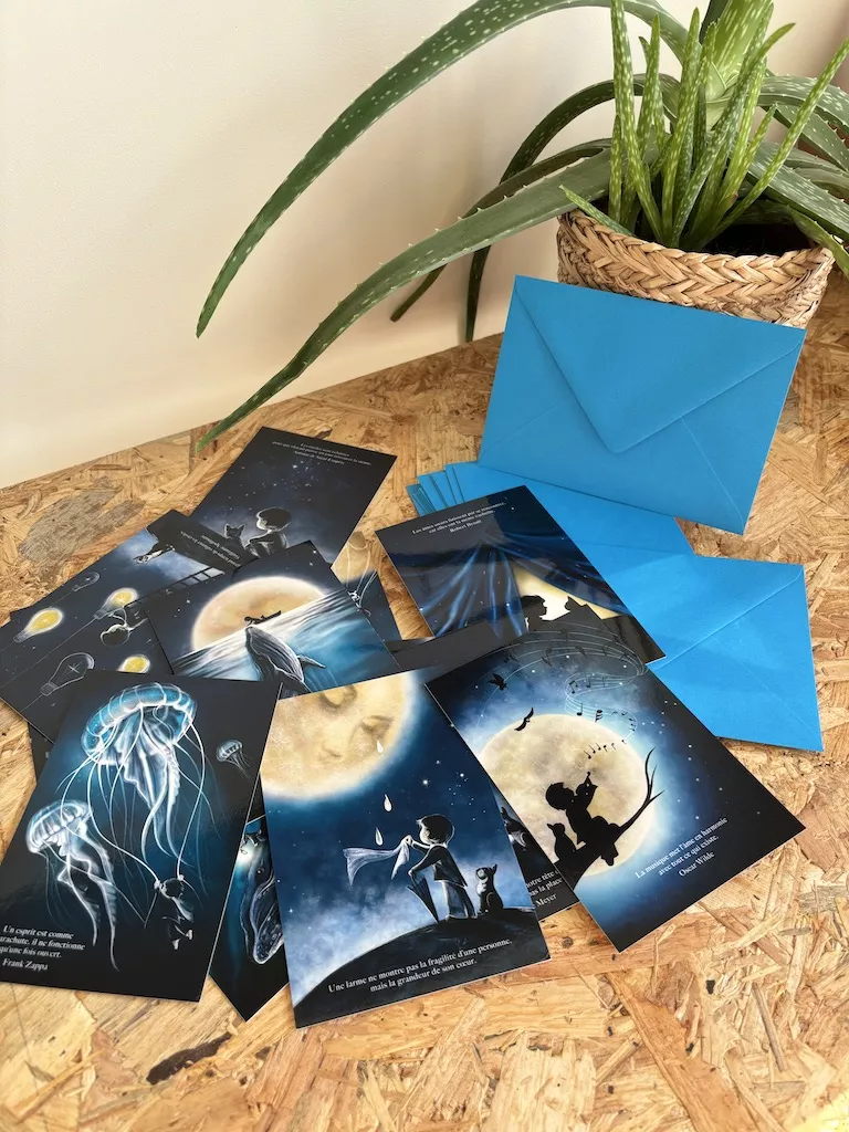 lot-cartes-enveloppes-2 lot de 13 cartes 10 X 15 cm et enveloppes bleu