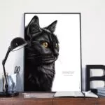 Affiche chat noir - dessin portant la citation de Jean Cocteau "La superstition est l'art de se mettre en règle avec les coïncidences". 19€