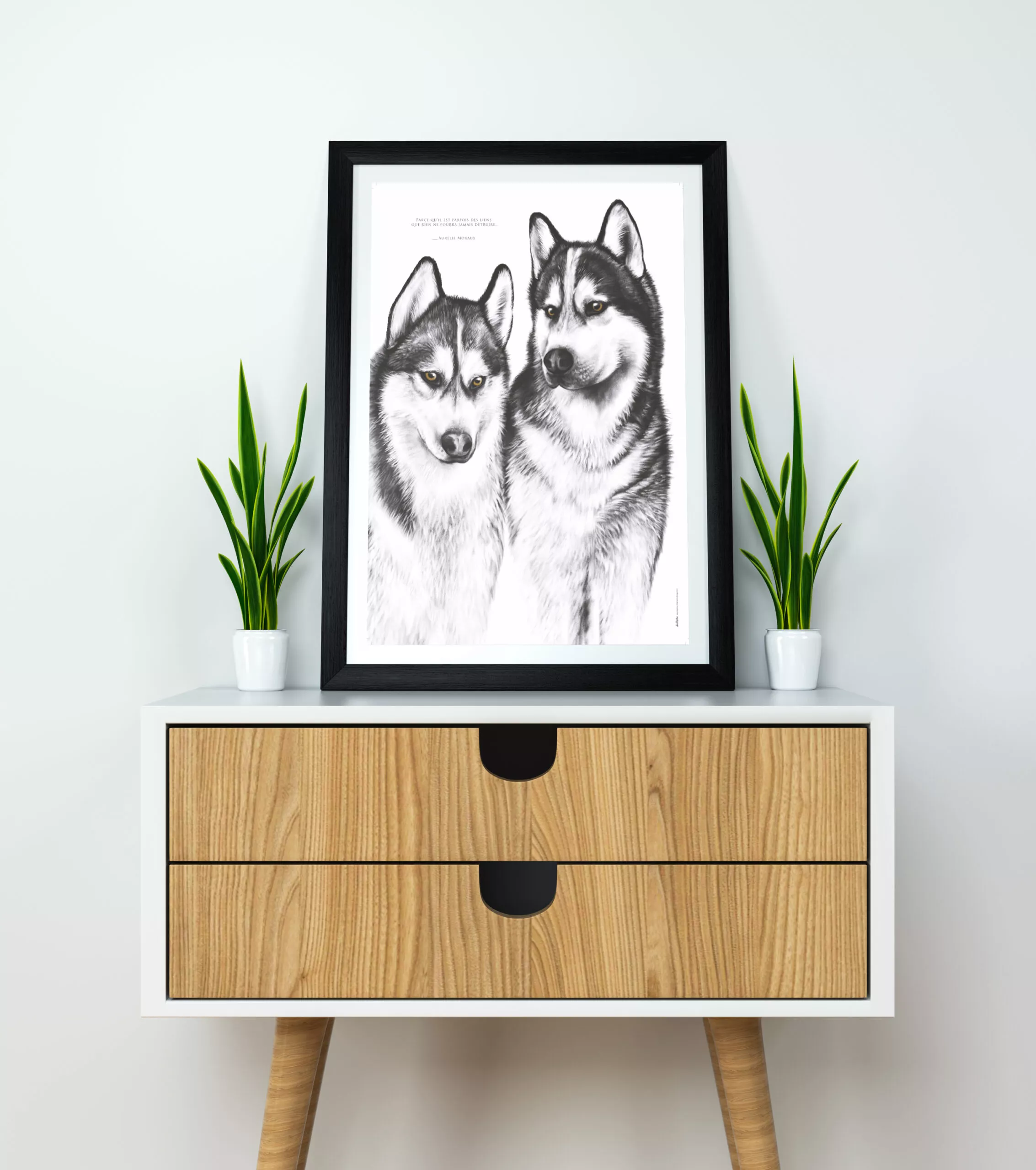 husky mockup 30X40 Affiche Husky de Sibérie - 30 X 40 cm portant une citation sur le lien. Affiche : 19€ - Dessin par Marjorie Esquerre.
