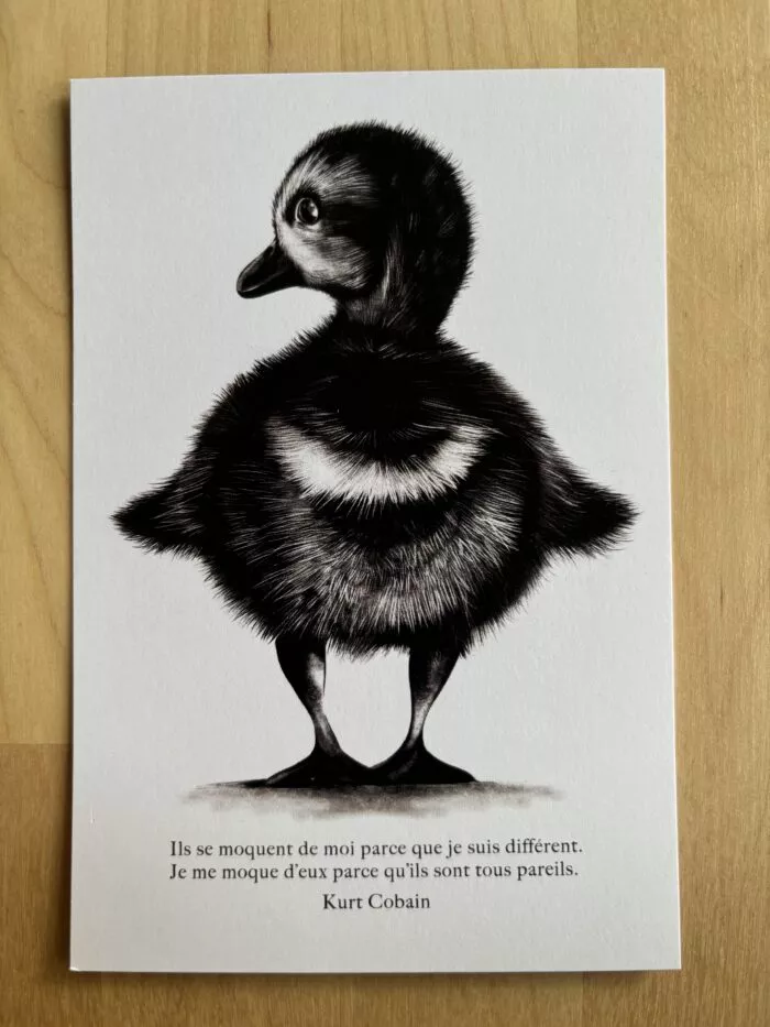 Le (vilain) petit canard "la différence" – Image 4
