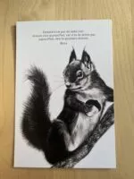 L'Écureuil - "La prévoyance" – Image 3