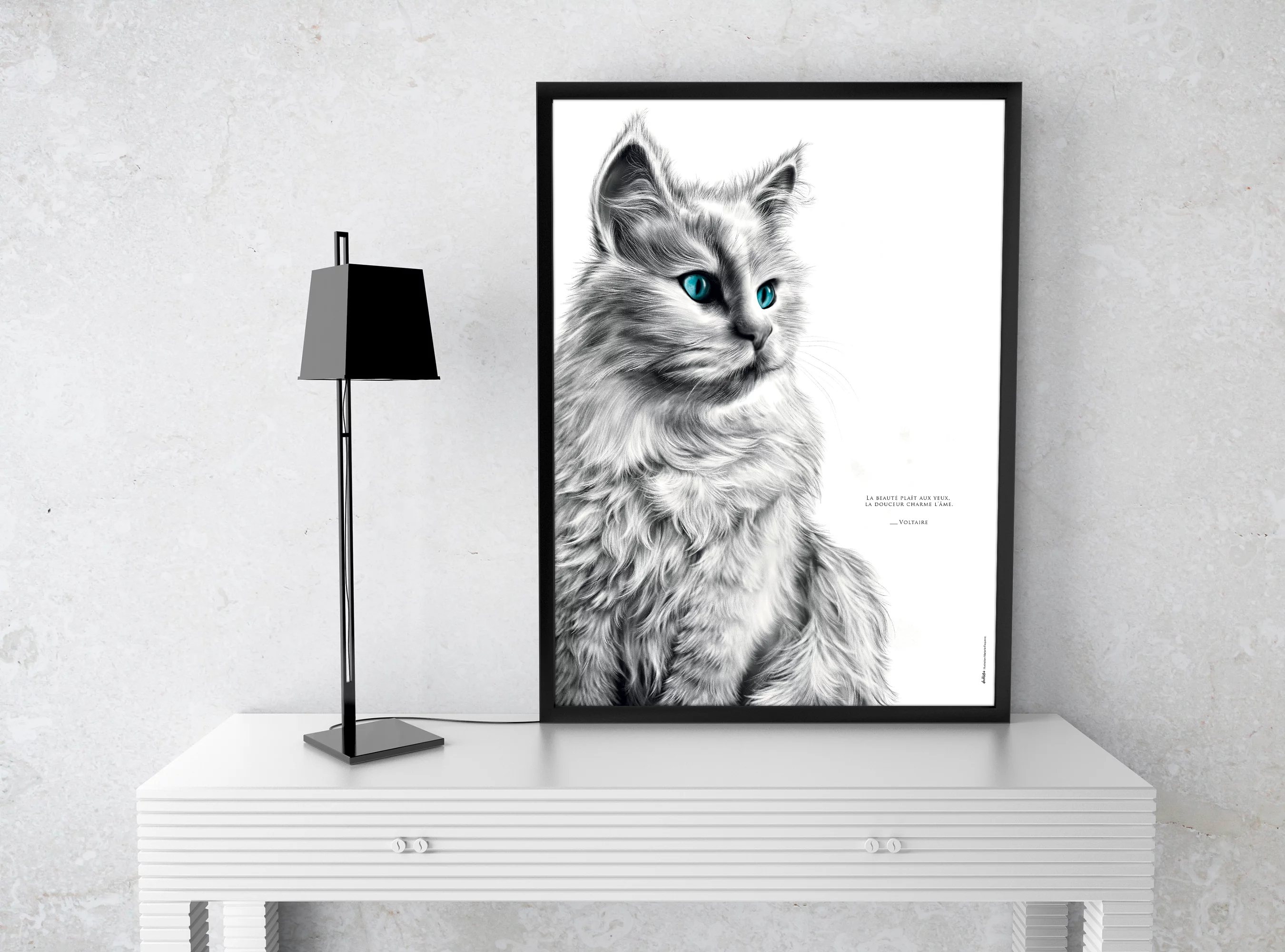 chat-blanc Affiche chat blanc - dessin portant la citation Voltaire: "La beauté plaît aux yeux la douceur charme l'âme". affiche 30 X 40 cm - 19€ - Dessin M.Esquerre