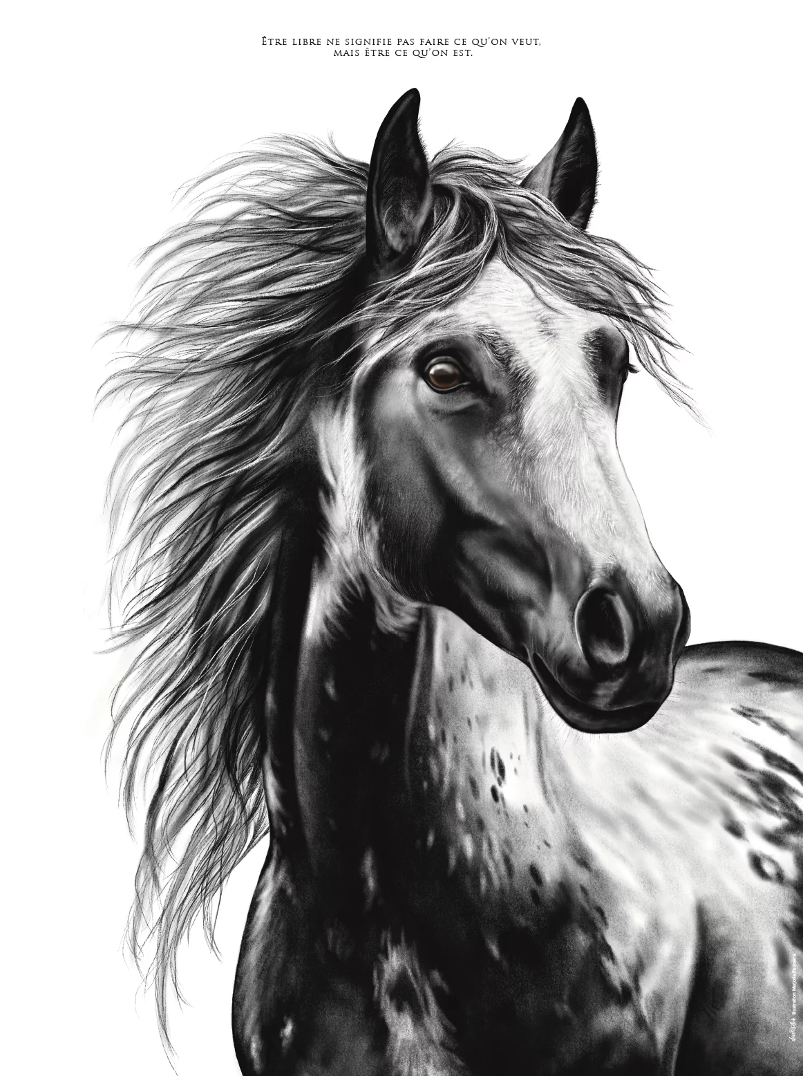 affiche-cheval-citation-liberte Affiche Cheval - dessin portant une citation sur la liberté : "Etre libre ne signifie pas faire ce qu'on veut, mais être ce qu'on est." Affiche Cheval 30X40