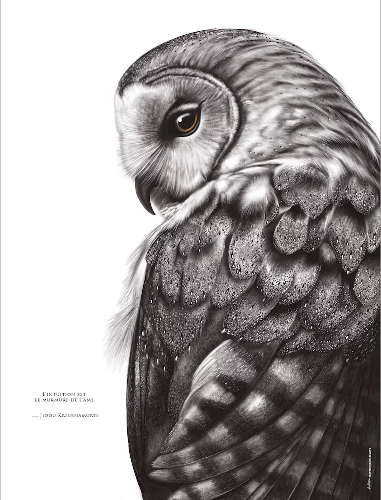 affiche représentant un dessin de chouette effraie associé à une citation : «L'intuition est le murmure de l'âme." Dessin de Marjorie Esquerre