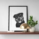 Dessin d'un Rottweiler réalisé par Marjorie Esquerre portant une citation positive et inspirante - disponible en affiche / poster format 30 X 40 cm