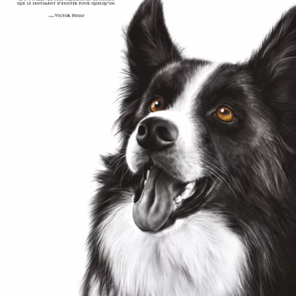 Dessin d'"un border collie réalisé par Marjorie Esquerre portant la citation de Victor Hugo - disponible en affiche / poster format 30 X 40 cm