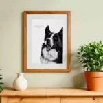 Dessin d'"un border collie réalisé par Marjorie Esquerre portant la citation de Victor Hugo - disponible en affiche / poster format 30 X 40 cm