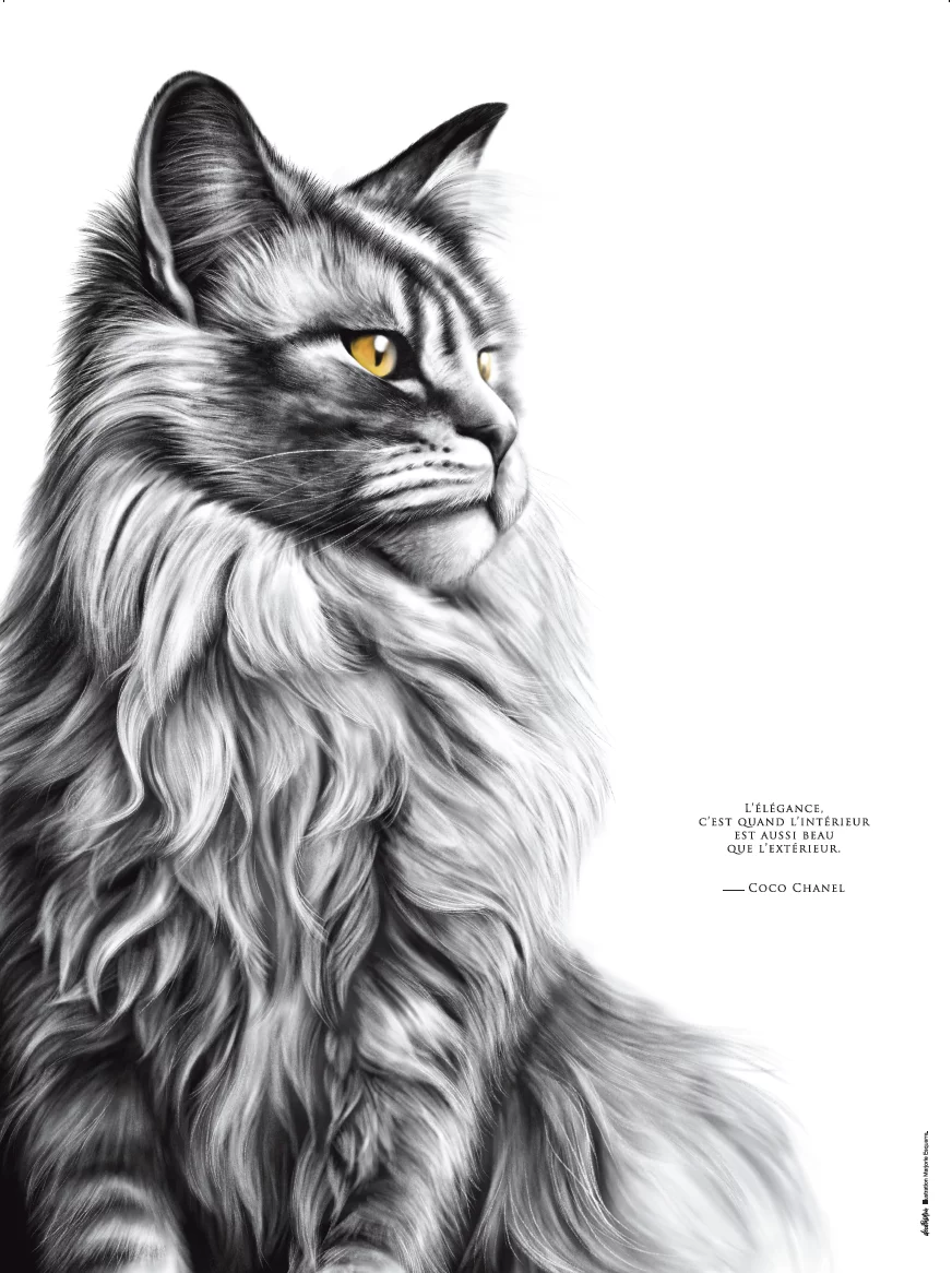 Dessin d'un chat associé à la citation de Coco Chanel : « L’élégance, c’est quand l’intérieur est aussi beau que l’extérieur." Dessin de Marjorie Esquerre pour Décopositive - Tous droits réservés