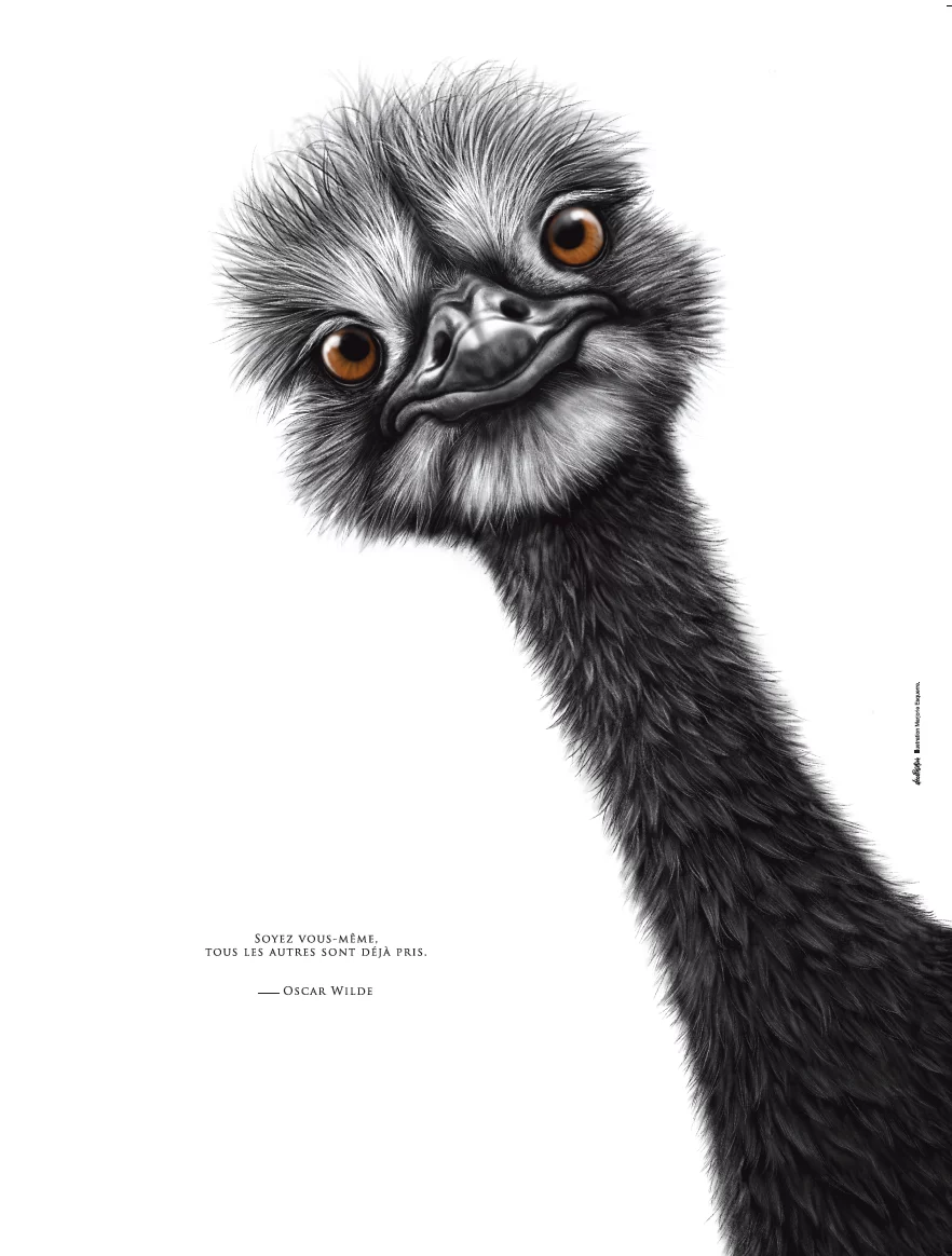 Dessin d’une Autruche associé à une Citation d’Oscar Wilde : "Soyez vous-même, tous les autres sont déjà pris". Disponible en affiche 30X40 et carte. Dessin de Marjorie Esquerre