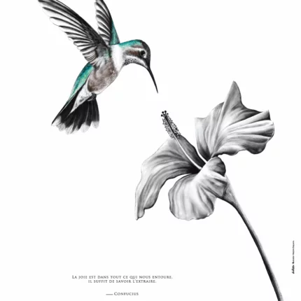 Dessin d'un colibri associé à une citation sur la joie de Confucius "La joie est dans tout ce qui nous entoure, il suffit de savoir l’extraire" - dessin de Marjorie Esquerre pour Décopositive - tous droits réservés