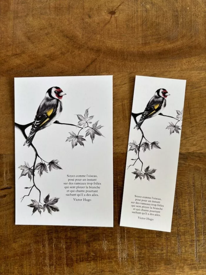 carte postale et marque-page Le Chardonneret par Décopositive
