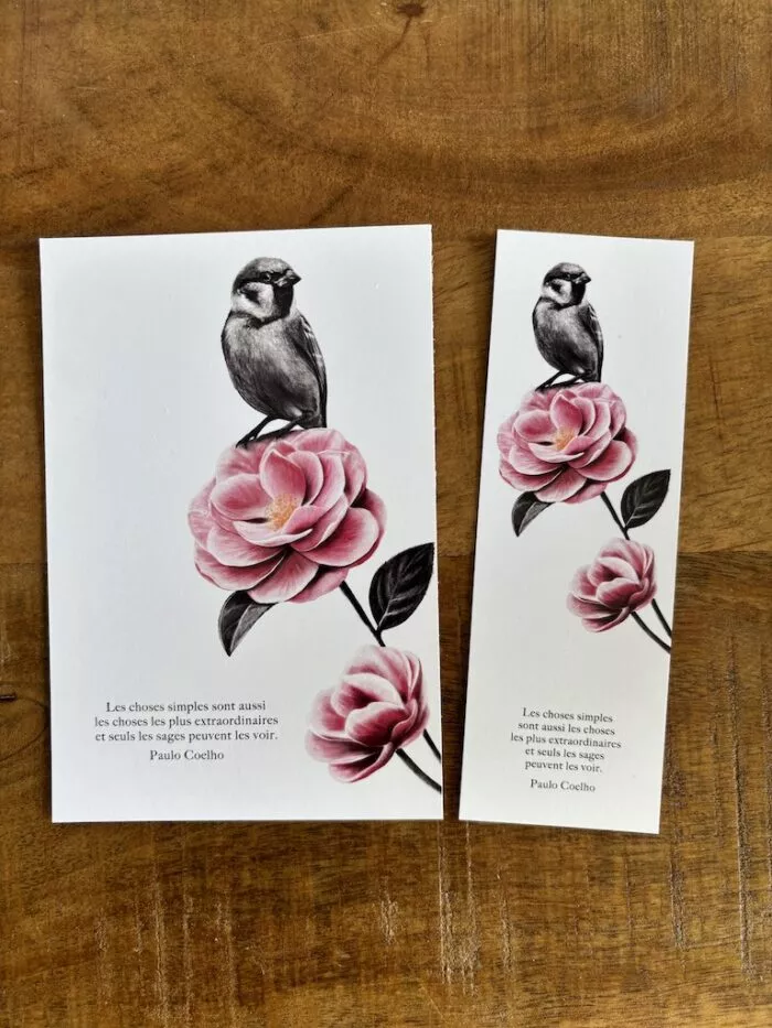 carte postale et marque-page le moineau - par decopositive