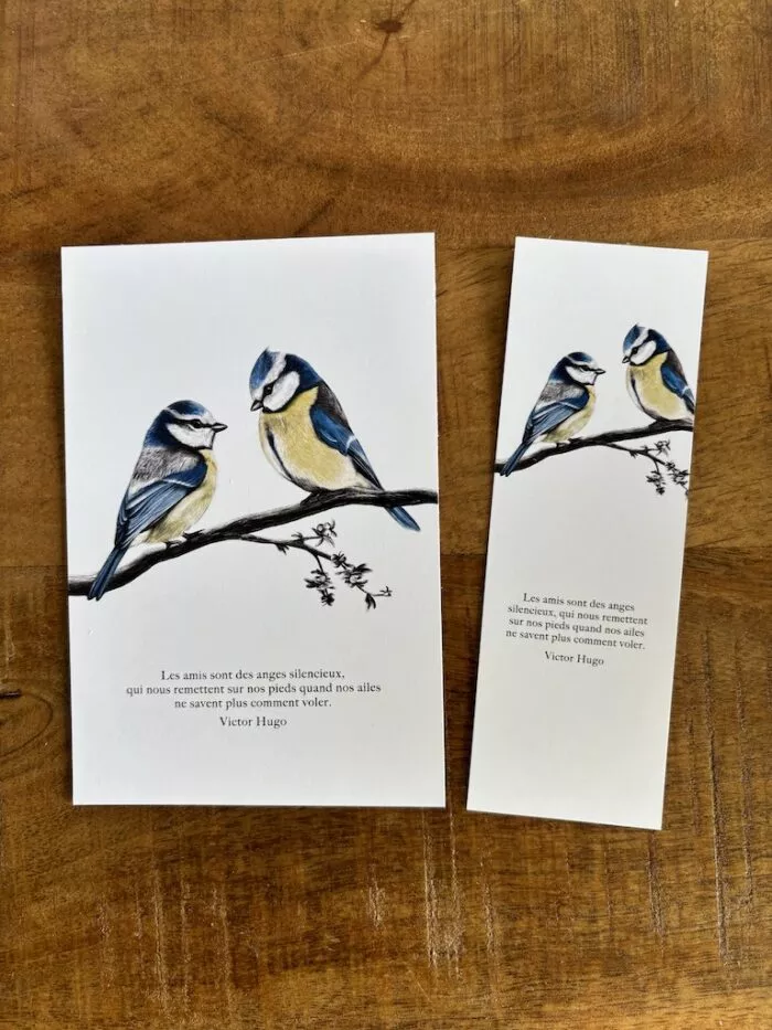 carte postale et marque-page les mesanges - par decopositive