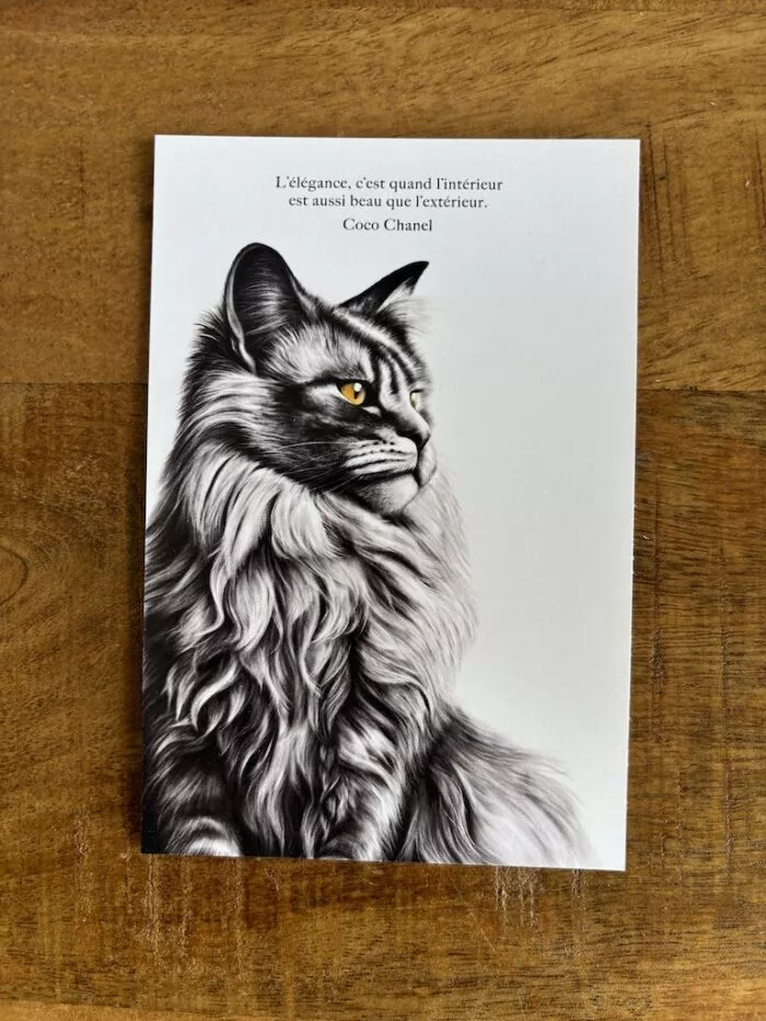 carte postale dessin le chat - citation de coco chanel - création de Décopositive