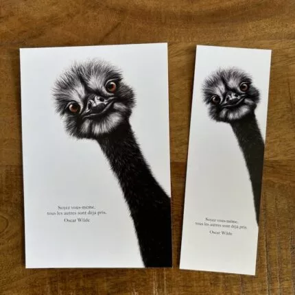 carte postale et marque page l'autruche par decopositive