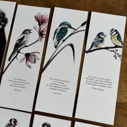Lot de 8 marque-pages oiseaux - dessin de Marjorie Esquerre pour décopositive