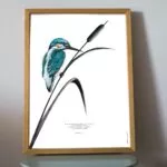 Dessin d'un martin-pêcheur associé à la citation "Si tu donnes un poisson à un homme, il mangera un jour. Si tu lui apprends à pêcher, il mangera toujours."Lao-Tse - dessin de Marjorie Esquerre pour Décopositive - Tous droits réservés