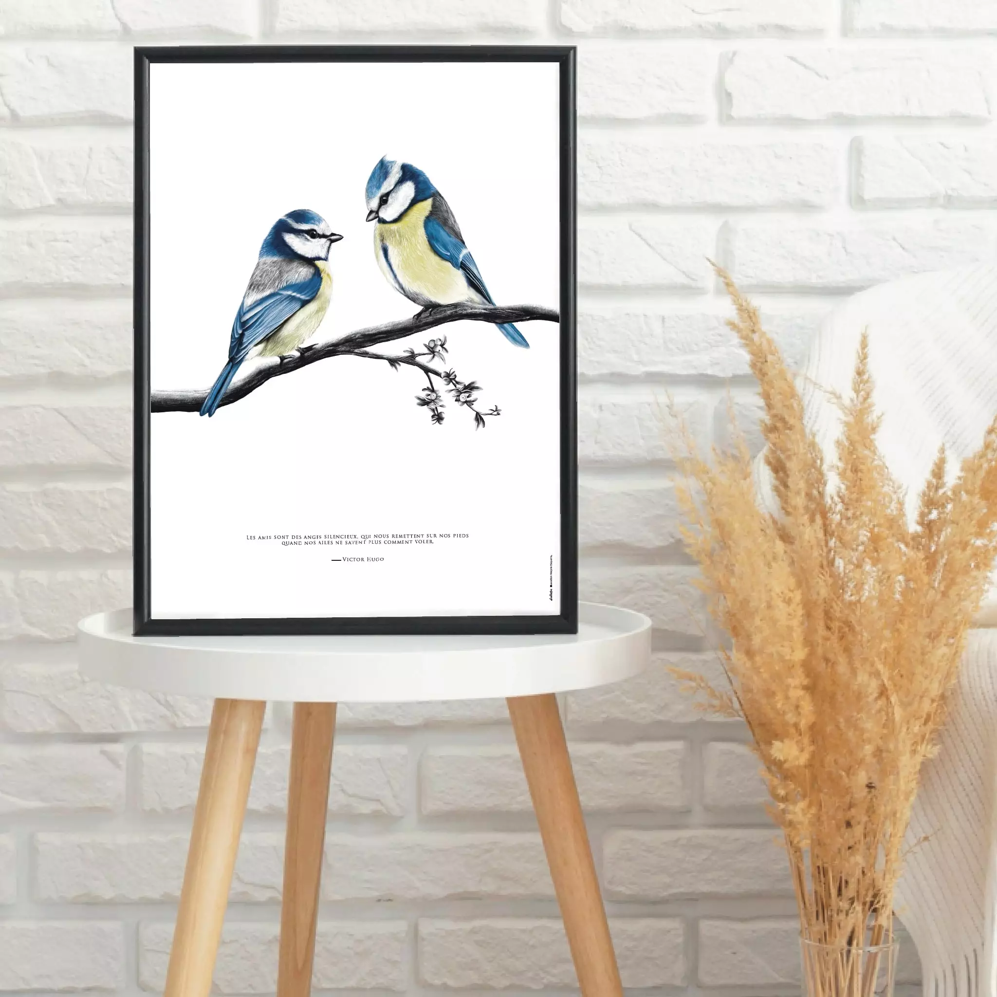 dessin-mesanges-decopositive Affiche Oiseau - Dessin de deux mésanges bleues portant une citation de Victor Hugo sur l'amitié et la solidarité - Disponible en affiche et en carte.