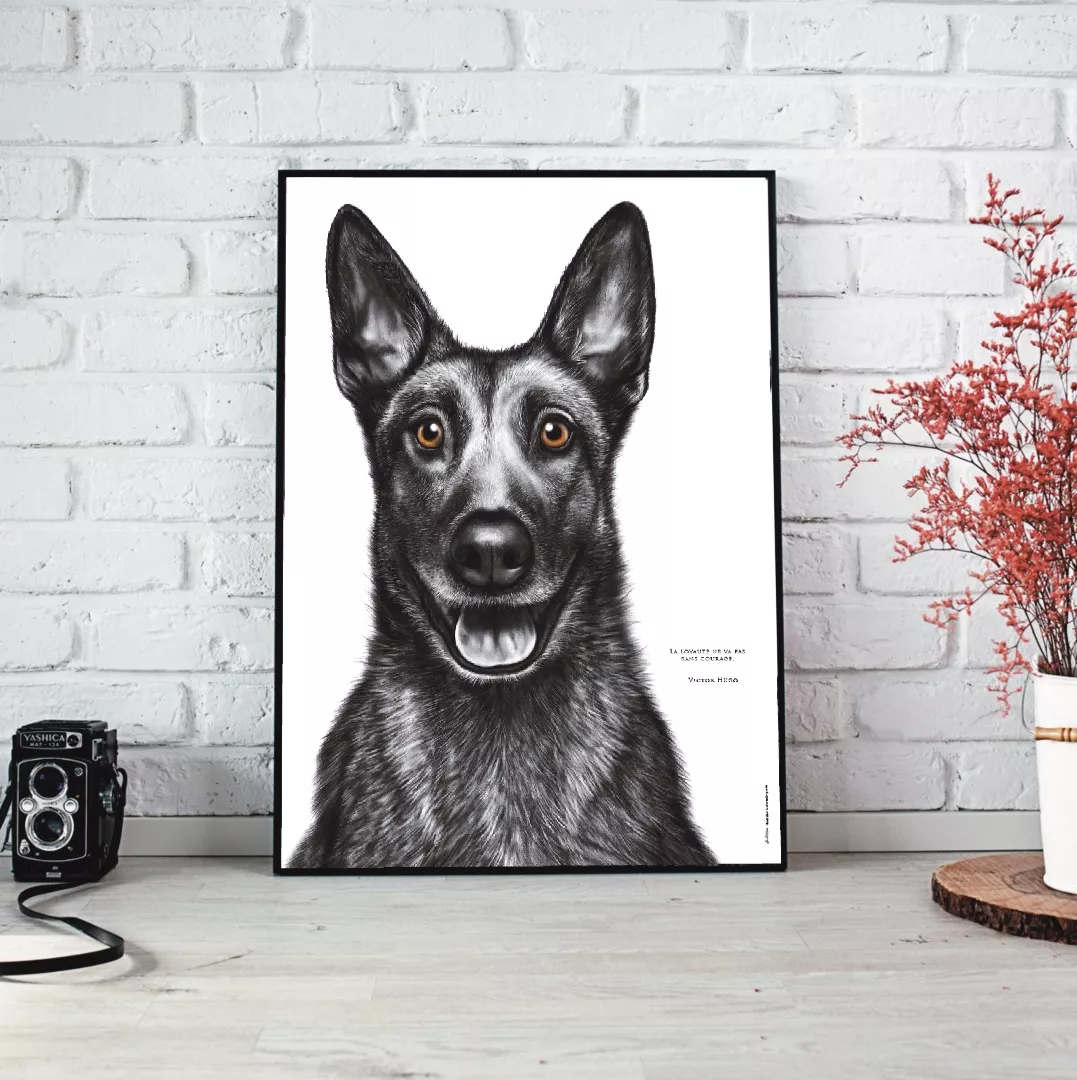 Dessin d'un malinois réalisé par Marjorie Esquerre portant une citation positive et inspirante - disponible en affiche / poster format 30 X 40 cm