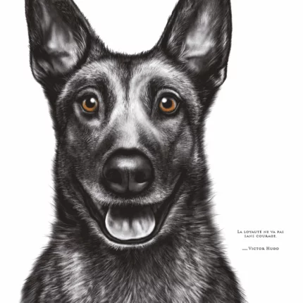 Dessin d'un malinois réalisé par Marjorie Esquerre portant une citation positive et inspirante - disponible en affiche / poster format 30 X 40 cm