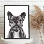 Dessin d'un bouledogue français réalisé par Marjorie Esquerre portant une citation de George Sand