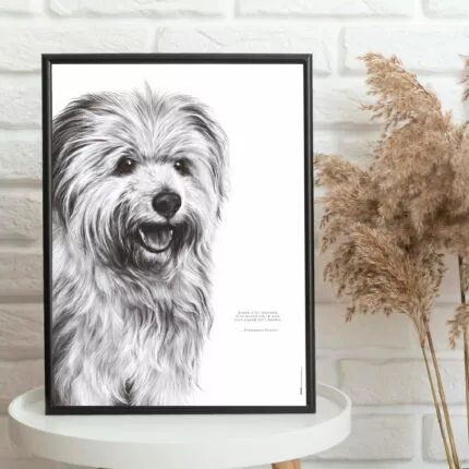 Affiche d’un labrit, berger des Pyrénées. Ce dessin est associé à une citation : « Aimer, c’est donner. Plus grand est le don, plus grand est l’amour. » - Dessin de Marjorie Esquerre pour decopositive - tous droits réservés